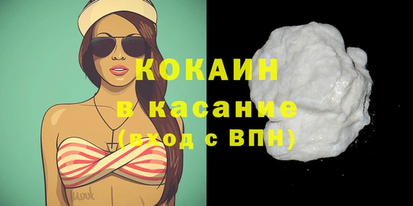 сатива Абинск